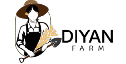 DiyanFarm – Органический вкус с поля на ваш стол